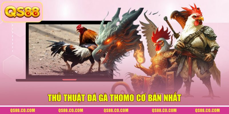 Thủ thuật đá gà Thomo cơ bản nhất Thủ thuật đá gà Thomo cơ bản nhất