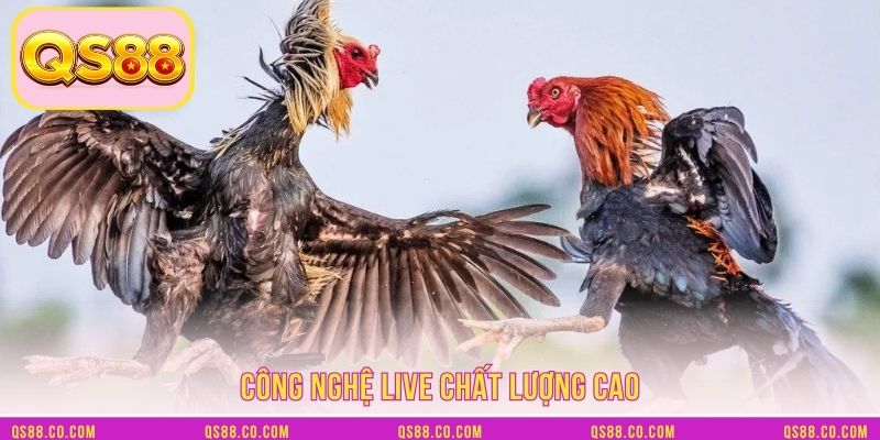 Công nghệ live chất lượng cao Công nghệ live chất lượng cao